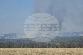 Сакар планина - пожар - Николай Николов