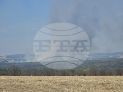 Сакар планина - пожар - Николай Николов