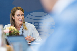 Франция - Европейски парламент - Роберта Мецола