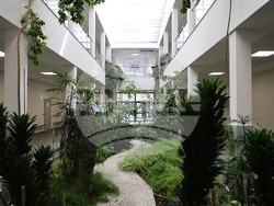 Пловдив - Център за чисти технологии и ефективно използване на биомаса