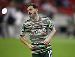 Hungary Portugal WCup Soccer