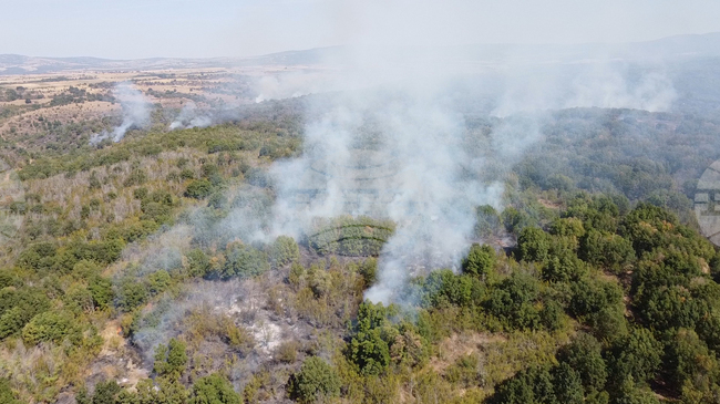 Всички 14 екипа огнеборци остават тази нощ на пожара в Сакар планина