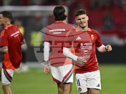 Hungary Portugal WCup Soccer