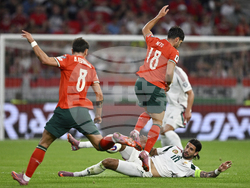 Hungary Portugal WCup Soccer