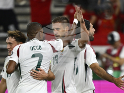 Hungary Portugal WCup Soccer
