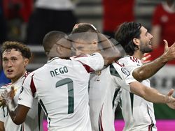 Hungary Portugal WCup Soccer