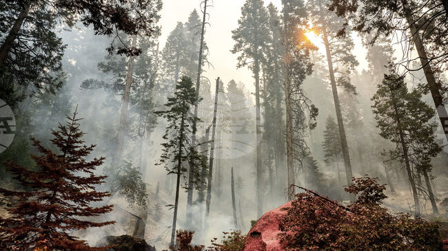 Високи температури и силни ветрове носят риск от горски пожари в южната част на американския щат Калифорния