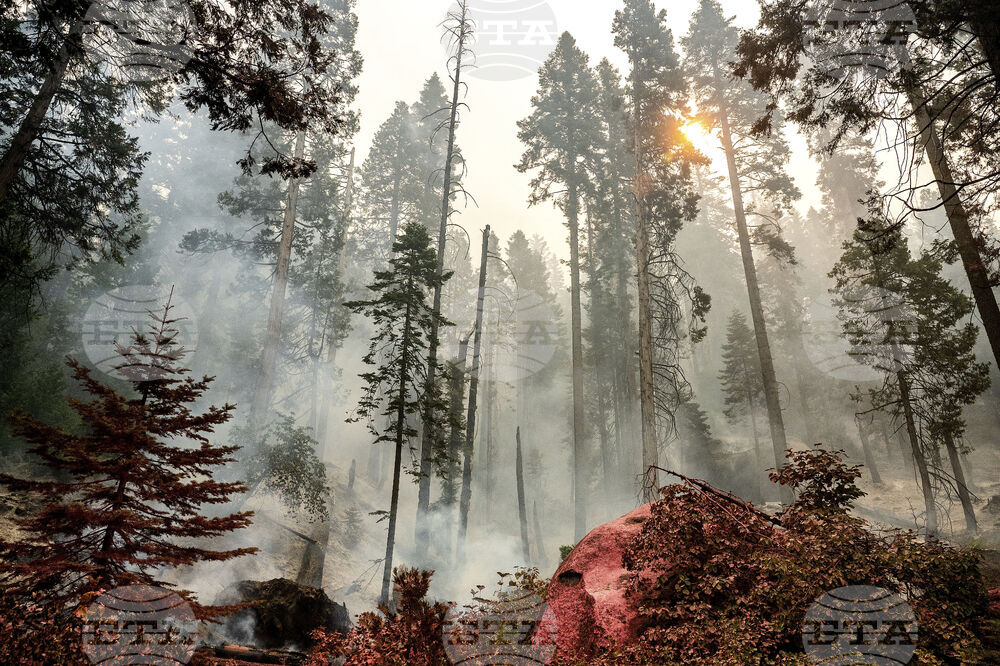 Високи температури и силни ветрове носят риск от горски пожари в южната част на американския щат Калифорния