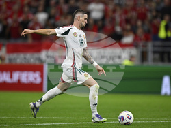 Hungary Portugal WCup Soccer