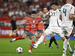 Hungary Portugal WCup Soccer