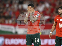 Hungary Portugal WCup Soccer