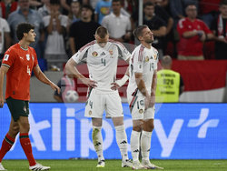 Hungary Portugal WCup Soccer