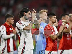 Hungary Portugal WCup Soccer