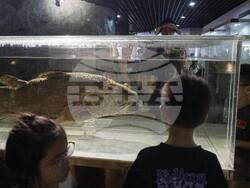 China Aquatic Biodiversity Photo Gallery