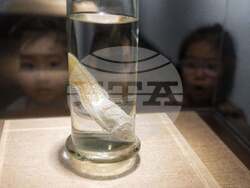 China Aquatic Biodiversity Photo Gallery