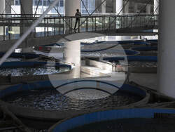 China Aquatic Biodiversity Photo Gallery