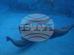 China Aquatic Biodiversity Photo Gallery