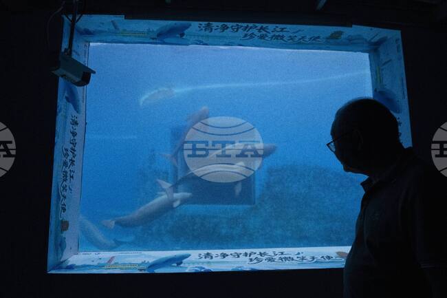 Учени развъждат редки и застрашени видове в най-дългата река в Китай