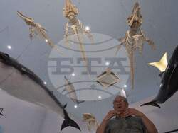 China Aquatic Biodiversity Photo Gallery