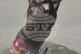 Top Vertical Photos Photo Gallery