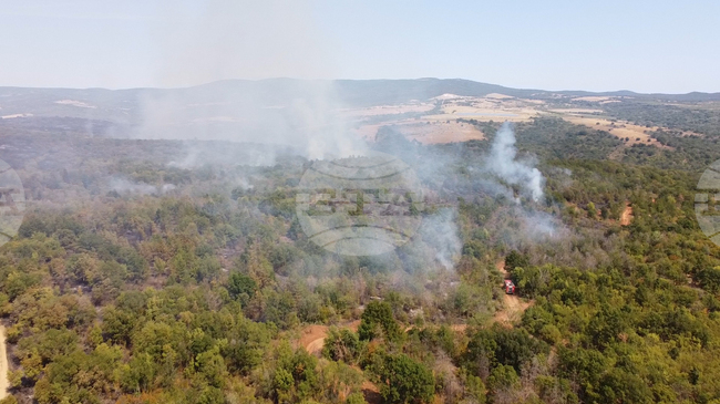 Близо 13 000 декара е вече засегнатата площ от пожара в Сакар планина