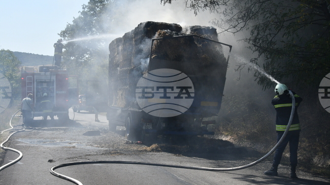 Потушени са 31 пожара в страната за изминалото денонощие