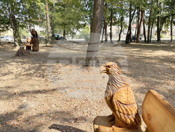 Самоков - Туристическа градина - пейки