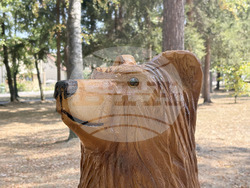 Самоков - Туристическа градина - пейки