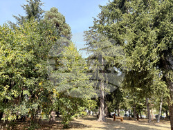 Самоков - Туристическа градина - пейки