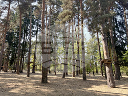 Самоков - Туристическа градина - пейки