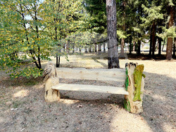 Самоков - Туристическа градина - пейки