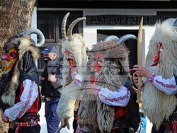 Снимка: Община Добрич