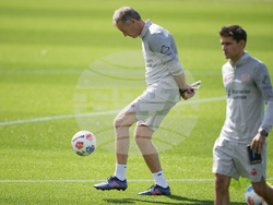 Germany Bundesliga Hjulmand