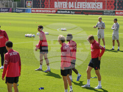 Germany Bundesliga Hjulmand