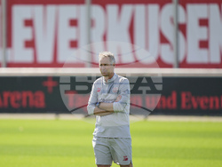 Germany Bundesliga Hjulmand