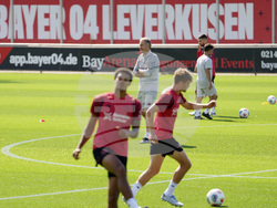 Germany Bundesliga Hjulmand