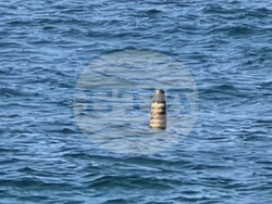 Снимка: Български Военноморски Сили 