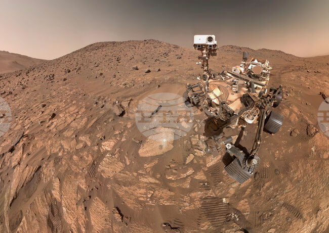 Маята, използвана за хлебни изделия и бира, успява да оцелее при суровите условия на Марс, установиха учени