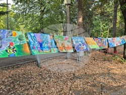 Ловеч - пожарна - отворени врати - демонстрация