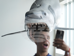 "Jaws" The Exhibition Press Preview