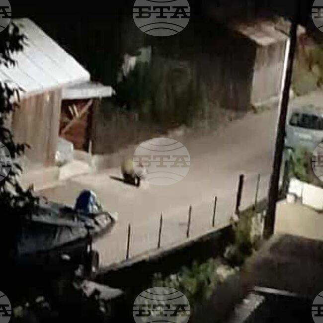 Мечка е заснета от камера да се разхожда по улица в Доспат