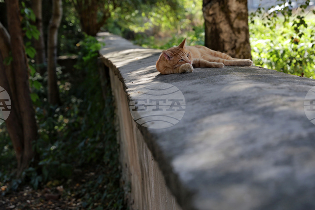 The Weather on September 13-14