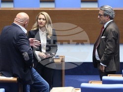 Народно събрание - заседание