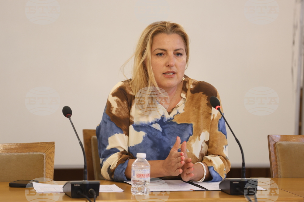 Комисията по културата и медиите в Народното събрание изслуша София Щерева, изпълнителен директор на Национален фонд „Култура“