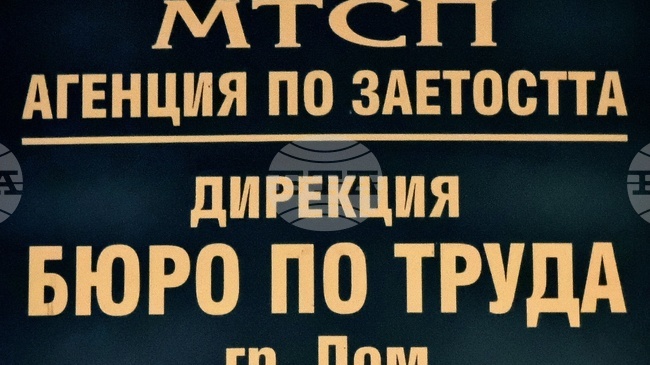 Свободни работни места за архитект, юрист и учители са обявени в Бюрото по труда в Лом
