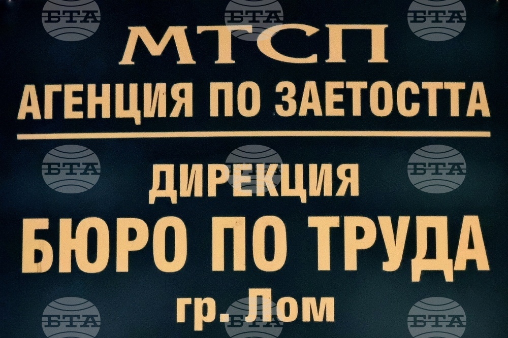 В бюрото по труда в Лом са обявени 20 места за висококвалифицирани специалисти