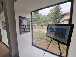 Троян - Орешак - изложба от пленер „Споделено в цвят“ -  НИХЗИ