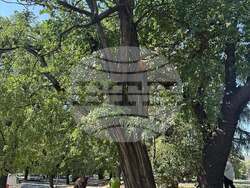 Снимка: Община Стара Загора