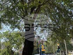 Снимка: Община Стара Загора