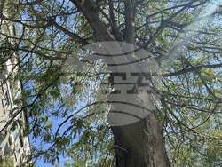 Снимка: Община Стара Загора